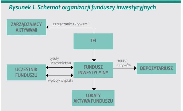 Towarzystwo funduszy inwestycyjnych co to? Kluczowe informacje i funkcje